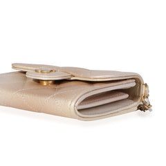 Gold Metallic Ombré Goatskin Classic Mini Clutch with Chain