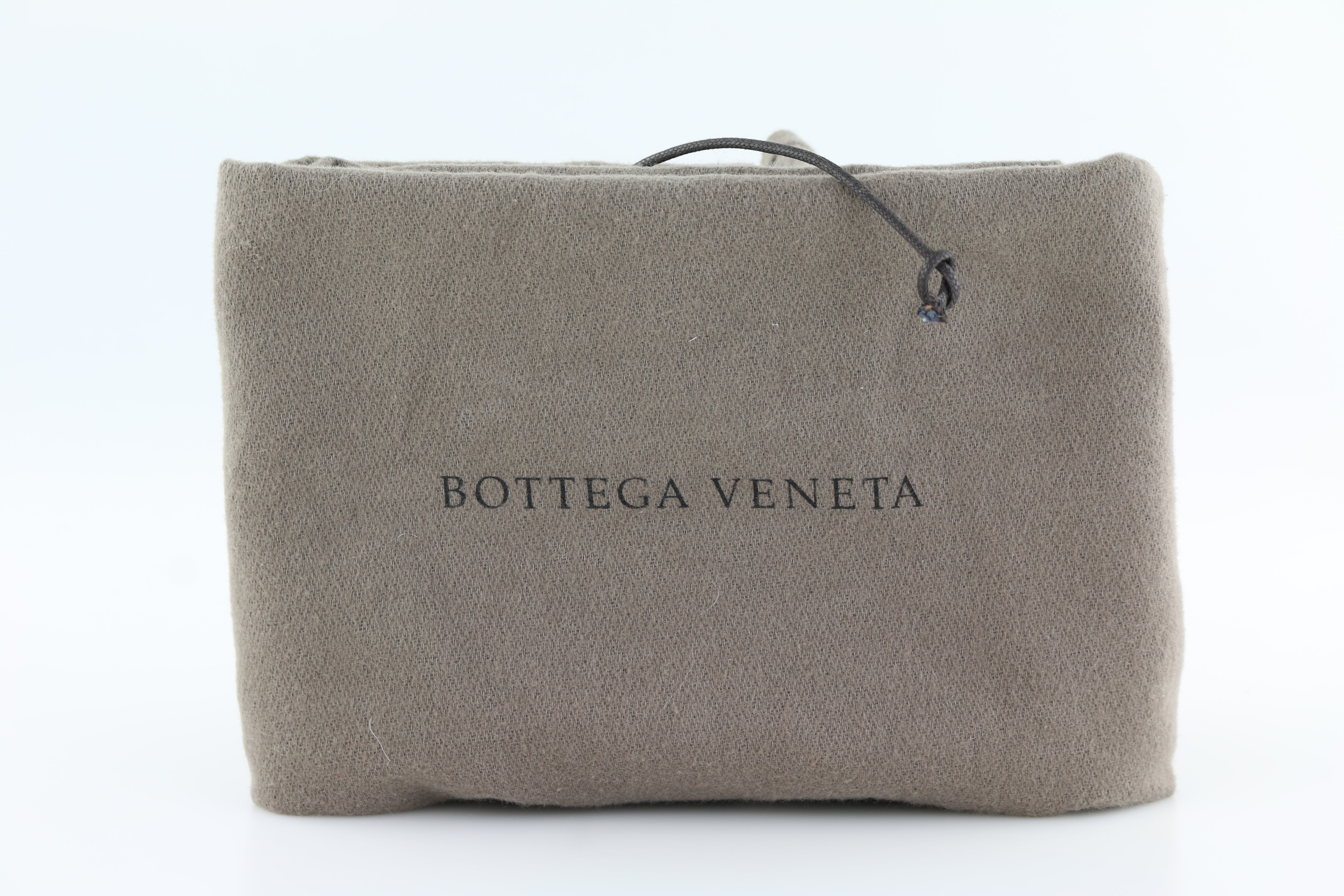 "The Pouch" Bag