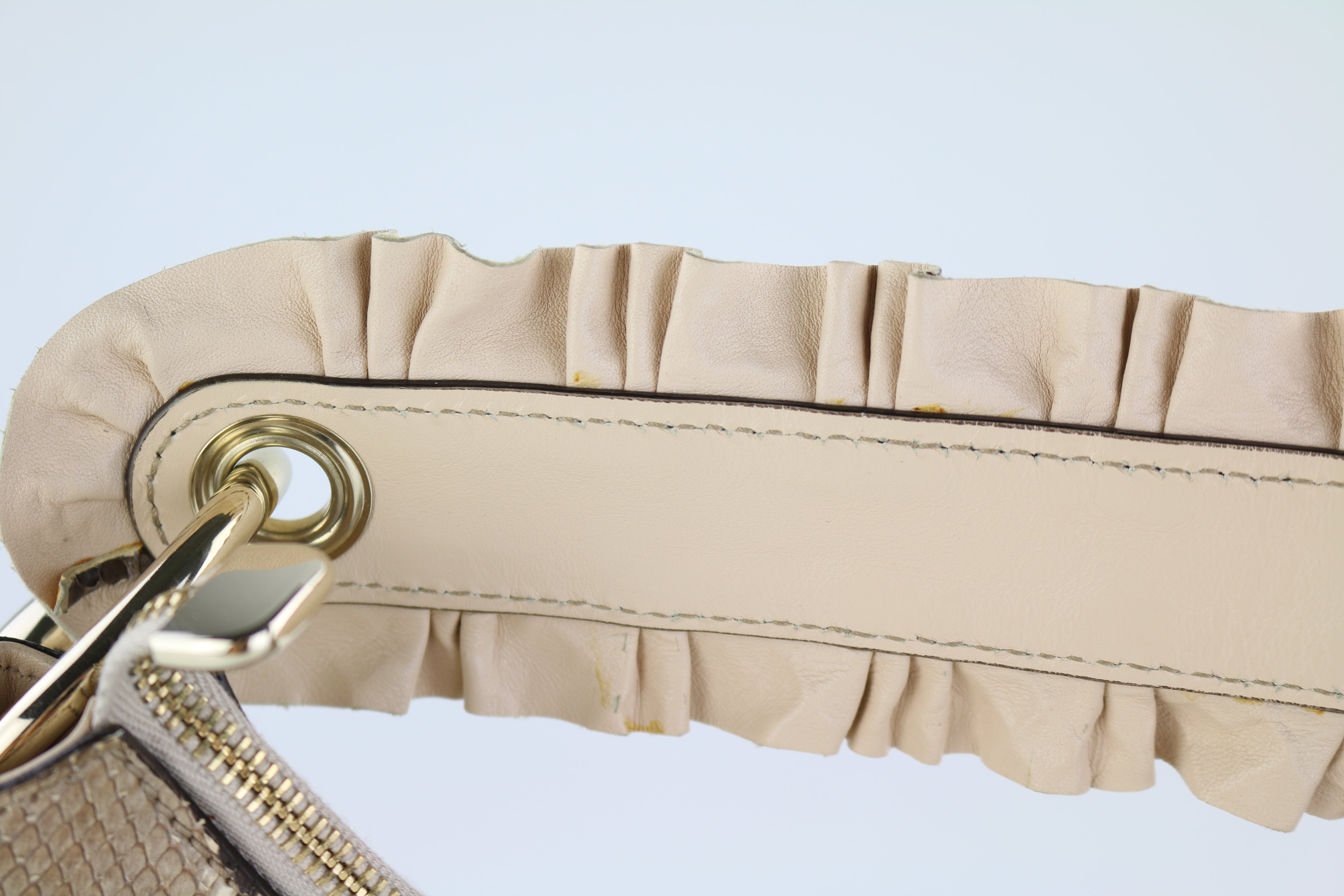 Python Sabrina Hobo