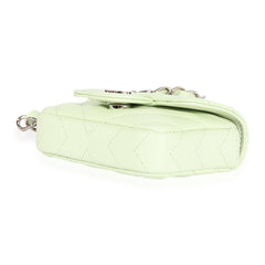 Light Green Goatskin Chevron Belt Bag