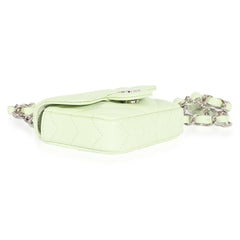 Light Green Goatskin Chevron Belt Bag