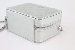 Silver Iridescent Caviar Camera Bag
